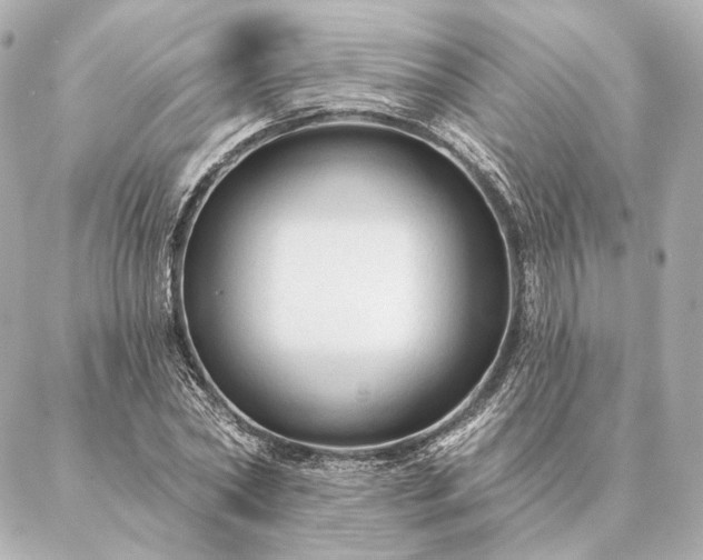 X0000086950782200704231424