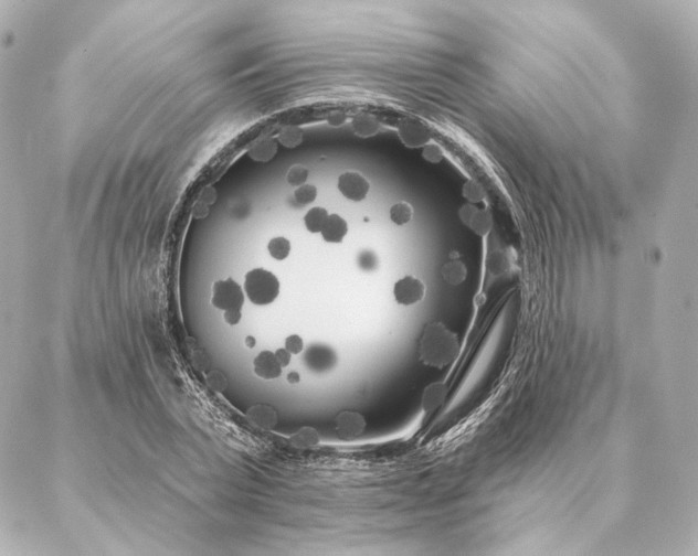 X0000086950783200704231424