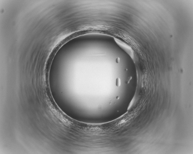 X0000086950784200704231424