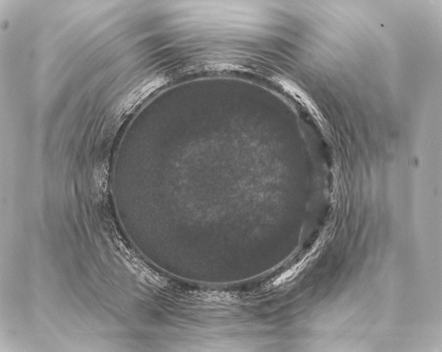 X0000086950785200704231424