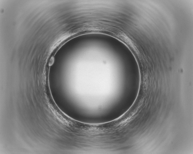 X0000086950787200704231424