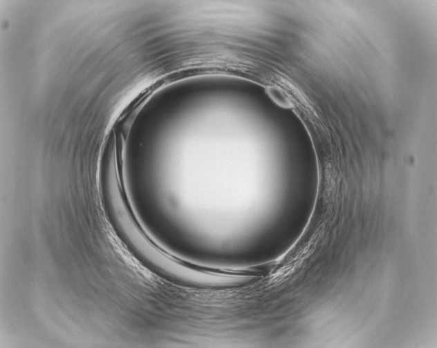 X0000086950788200704231424