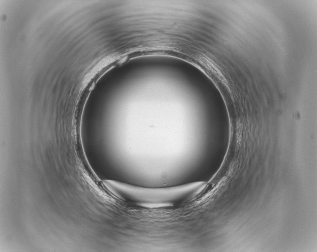 X0000086950789200704231424