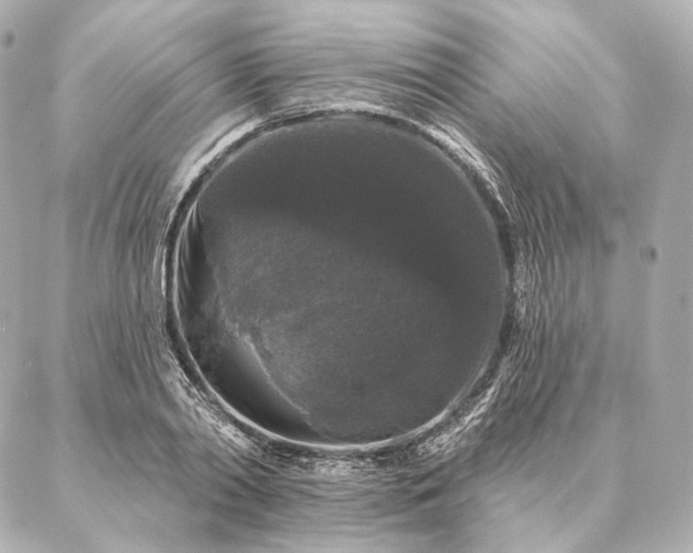 X0000086950790200704231424