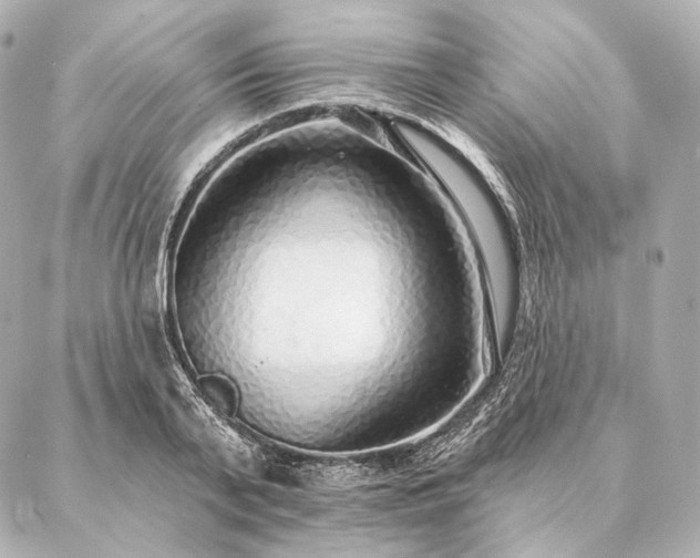 X0000086950791200704231424