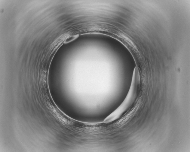 X0000086950793200704231424