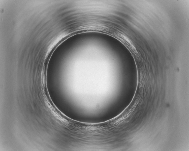 X0000086950796200704231424