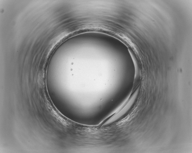 X0000086950799200704231424