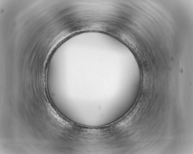 X0000086950800200704231424