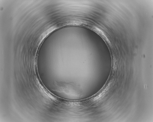 X0000086950802200704231424