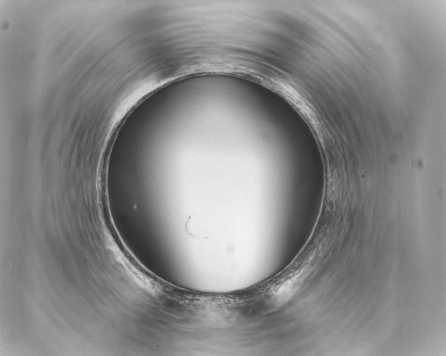 X0000086950803200704231424