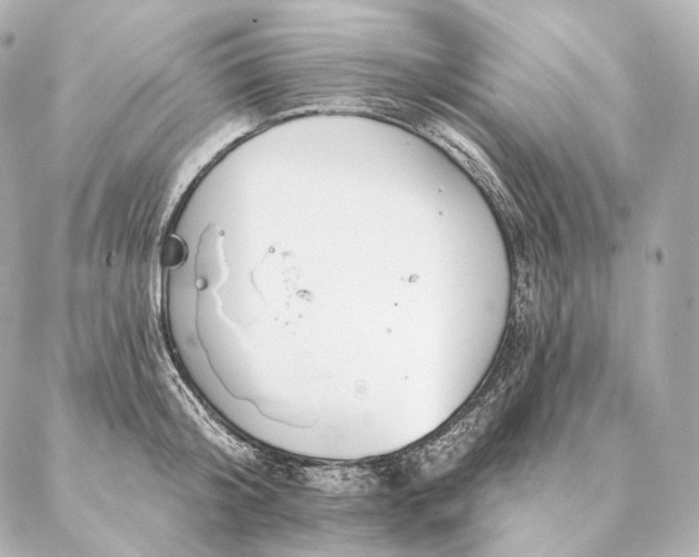 X0000086950804200704231424