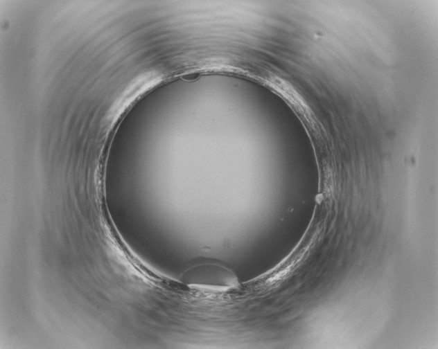 X0000086950806200704231424