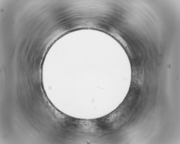 X0000086950807200704231424