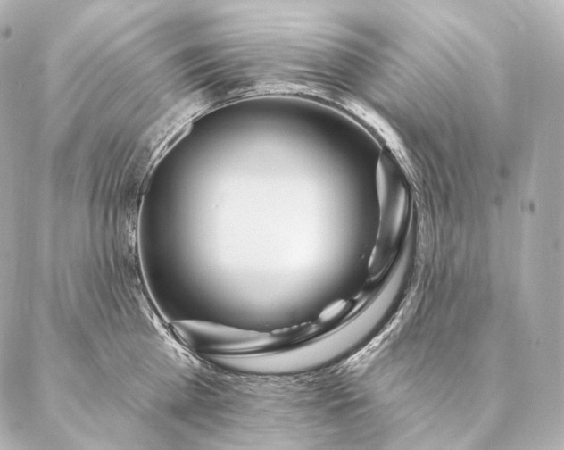 X0000086950809200704231424