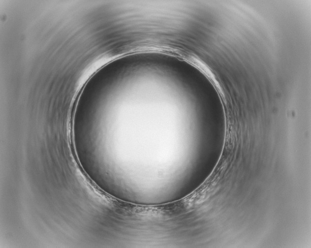 X0000086950811200704231424