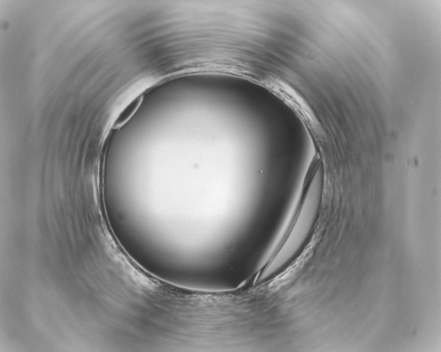 X0000086950812200704231424