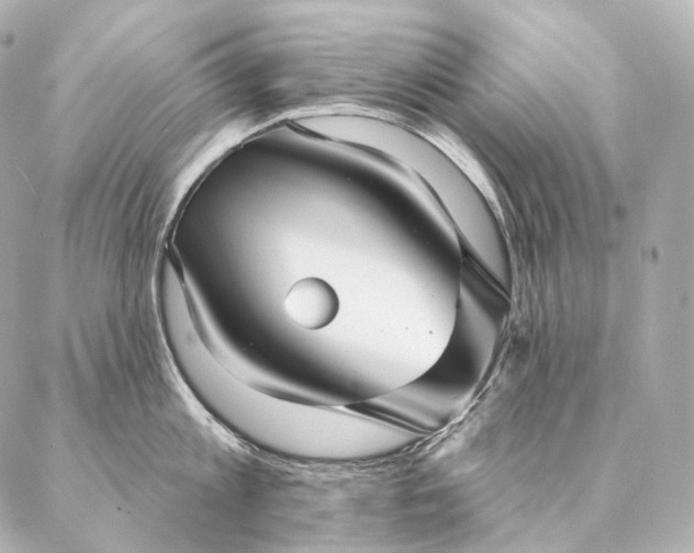 X0000086950813200704231424