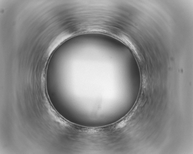 X0000086950814200704231424