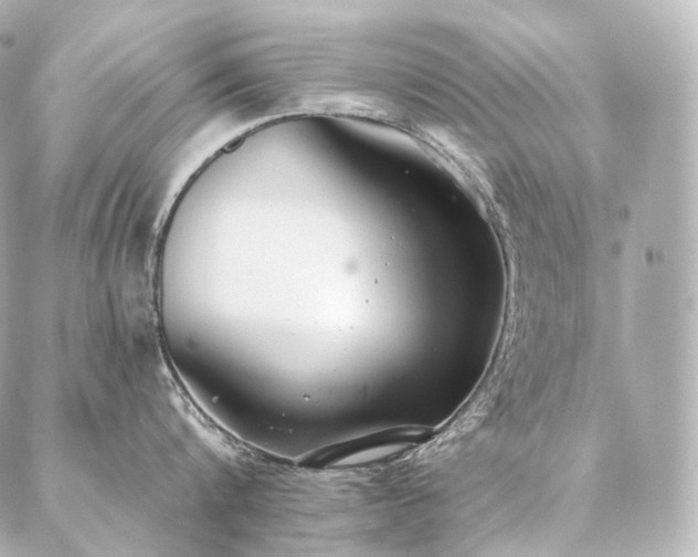 X0000086950816200704231424