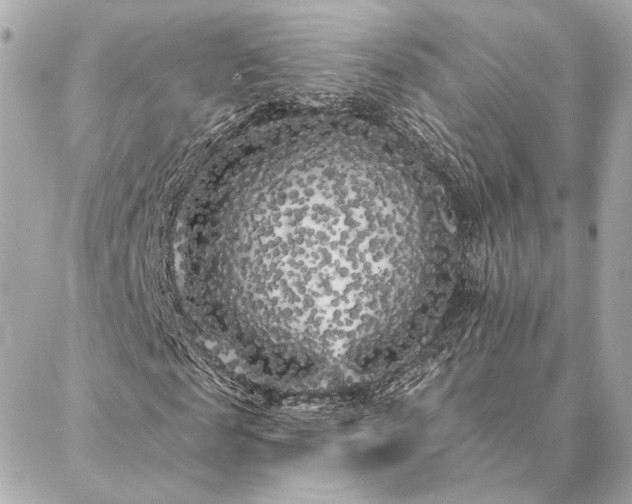 X0000086950817200704231423