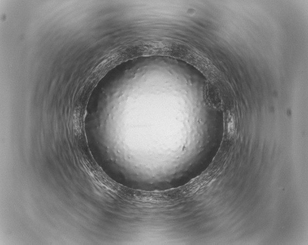 X0000086950819200704231423