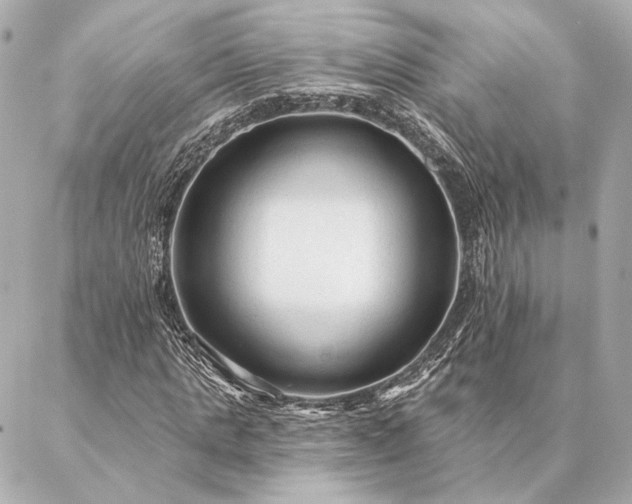 X0000086950821200704231423