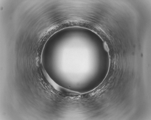 X0000086950822200704231423