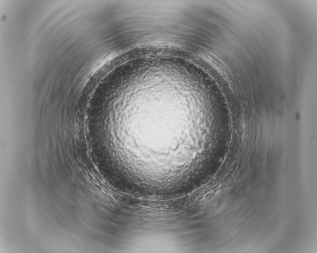 X0000086950823200704231423