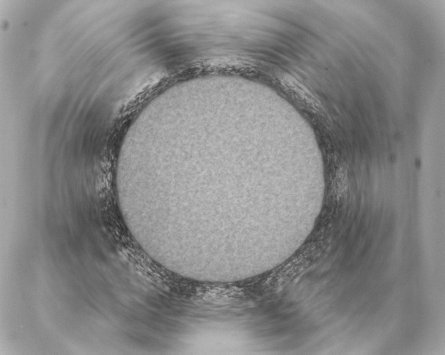 X0000086950824200704231423