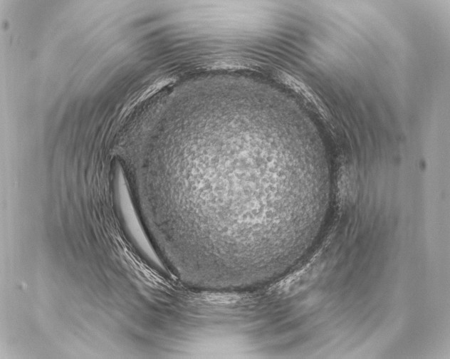 X0000086950825200704231423