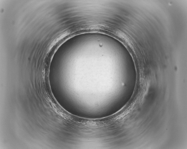 X0000086950827200704231423