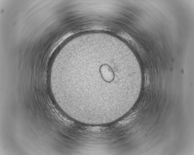 X0000086950828200704231423