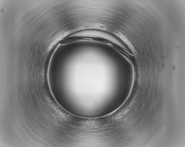 X0000086950834200704231423