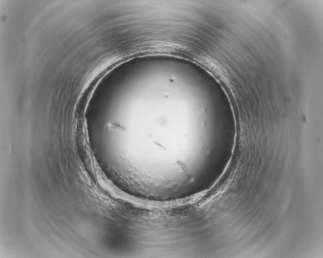 X0000086950835200704231423