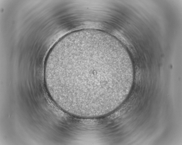 X0000086950836200704231423