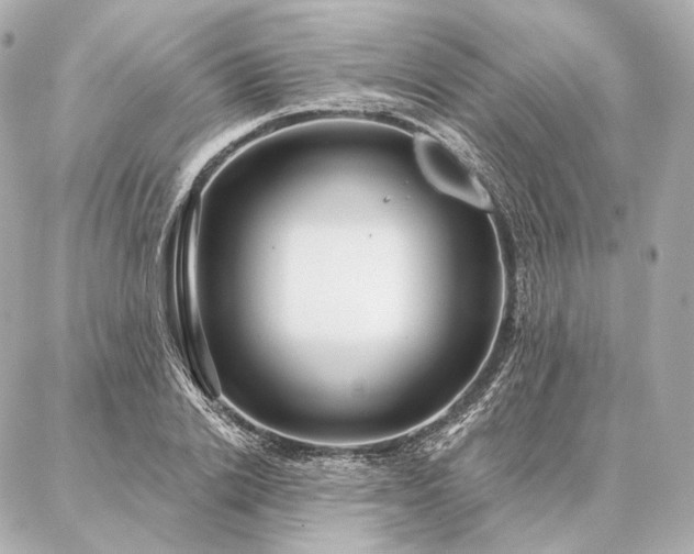 X0000086950838200704231423