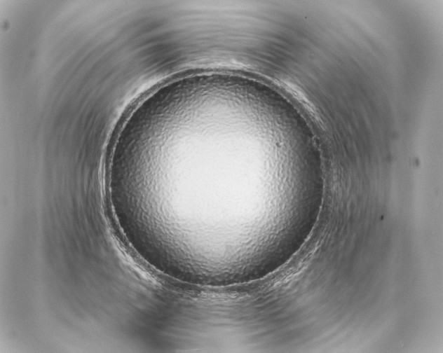 X0000086950840200704231423