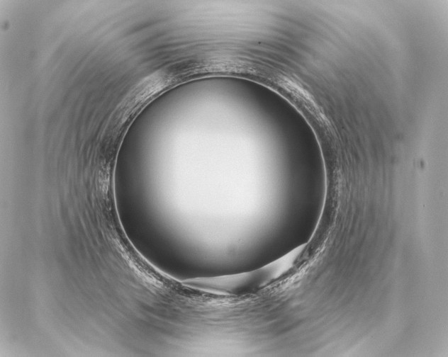 X0000086950841200704231423