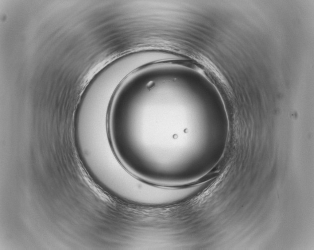 X0000086950842200704231423