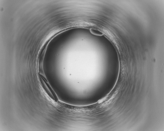 X0000086950843200704231423