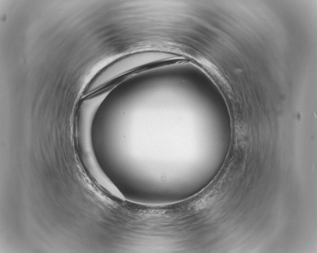 X0000086950846200704231423