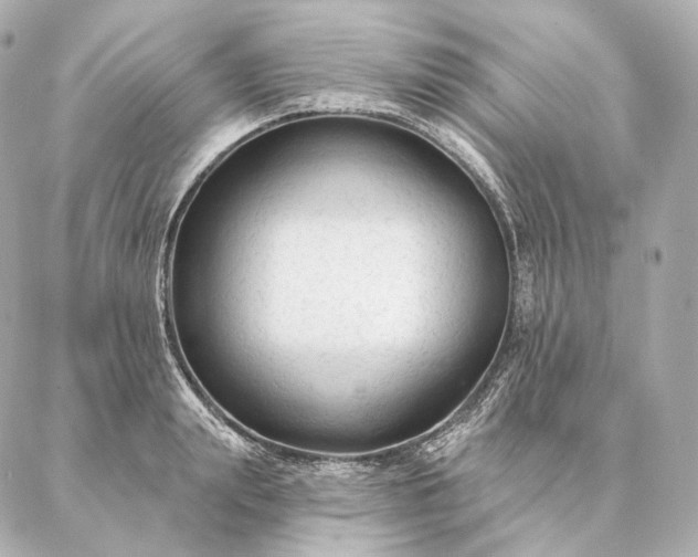 X0000086950847200704231423