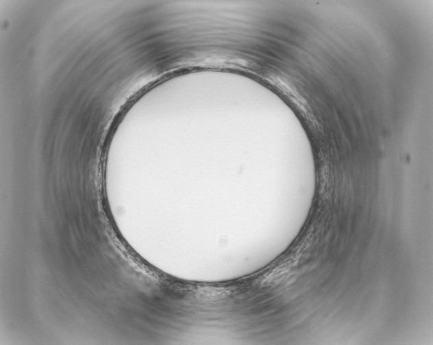 X0000086950848200704231424