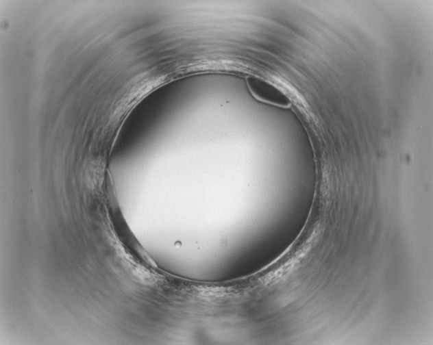 X0000086950849200704231424