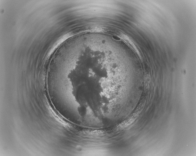 X0000086950851200704231424