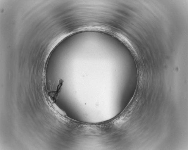 X0000086950852200704231424