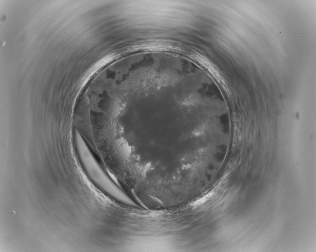 X0000086950853200704231424