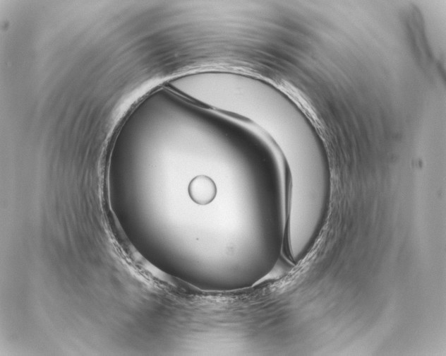 X0000086950854200704231424