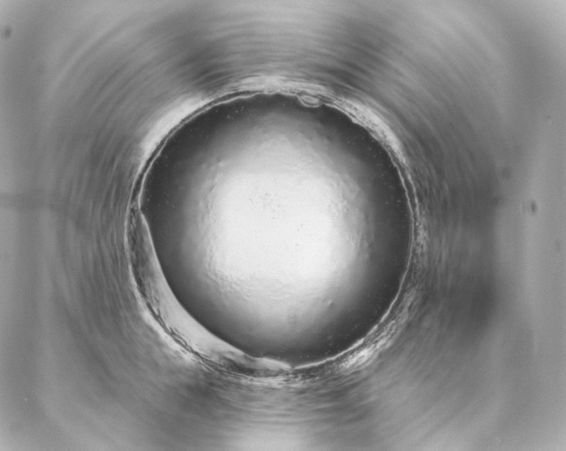 X0000086950855200704231424